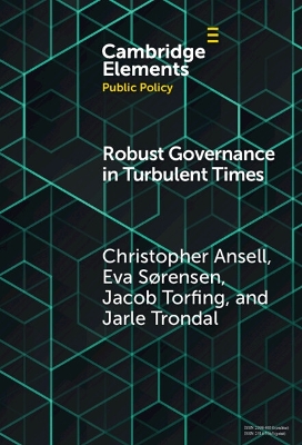 Robust Governance in Turbulent Times book