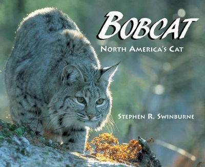 Bobcat book