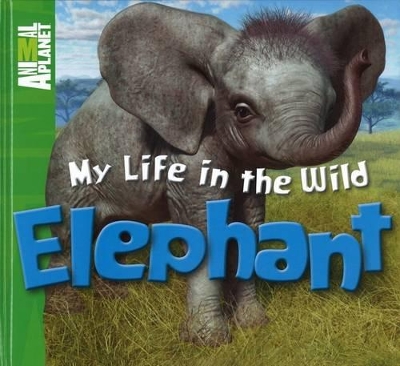 My Life in the Wild - Elephant book