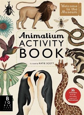 Animalium Activity Book book