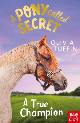 A Pony Called Secret: A True Champion book