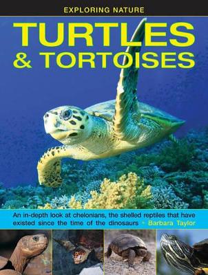 Exploring Nature: Turtles & Tortoises book