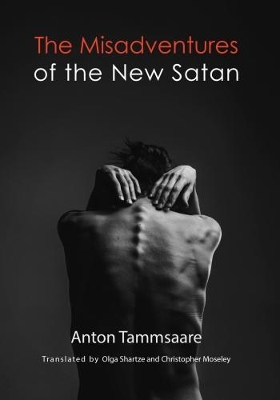 The Misadventures of the New Satan book