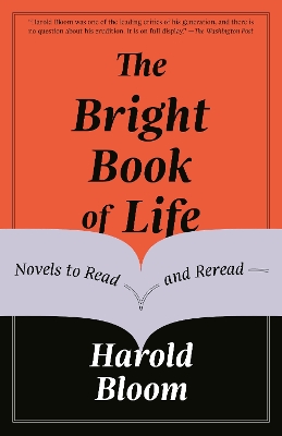 The Bright Book of Life: Novels to Read and Reread book