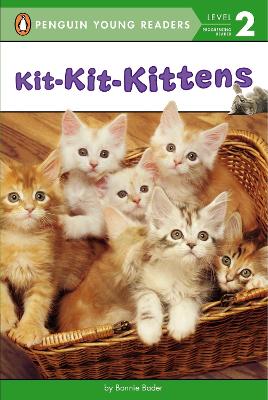 Kit-Kit-Kittens book