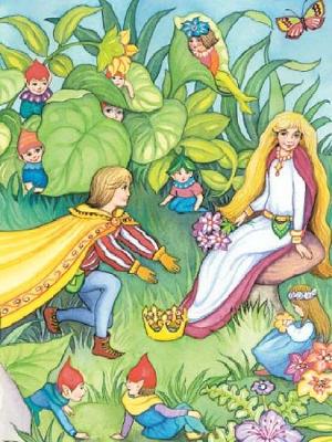 Fairyland Notebook book