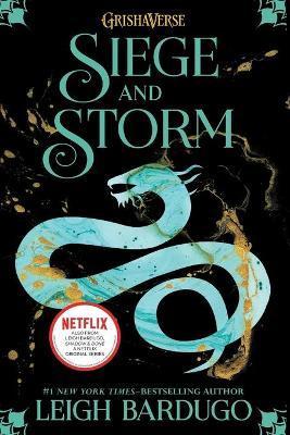 Siege and Storm book