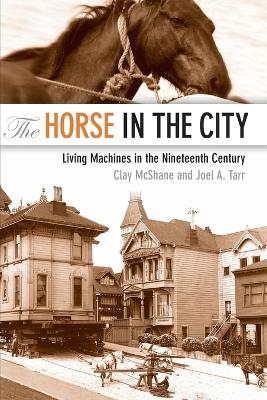 Horse in the City book