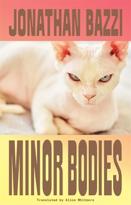 Minor Bodies book