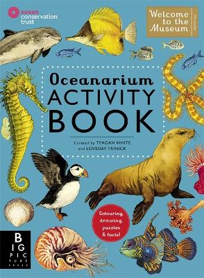 Oceanarium Activity by Teagan White