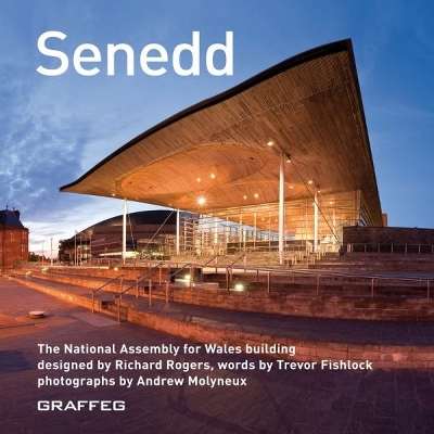 Senedd by Trevor Fishlock