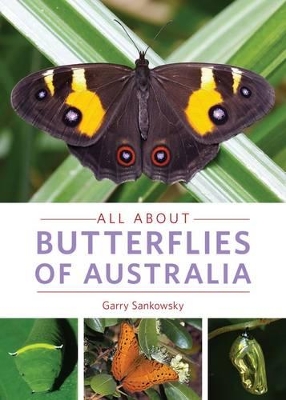 All about Butterflies of Australia: Includes 300 full colour images of the wonderful lives of butterflies book