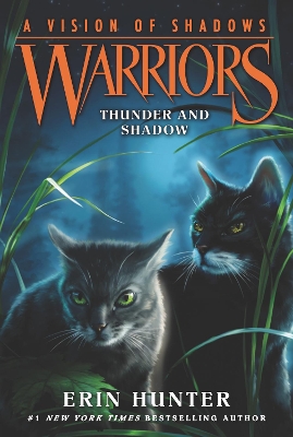 Warriors: A Vision of Shadows #2: Thunder and Shadow book