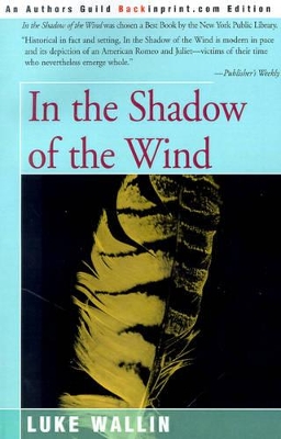 In the Shadow of the Wind book