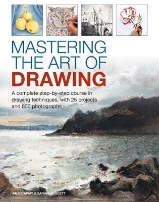 Mastering the Art of Drawing book