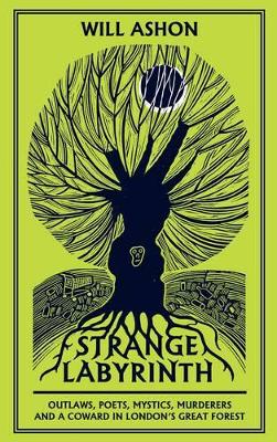 Strange Labyrinth book