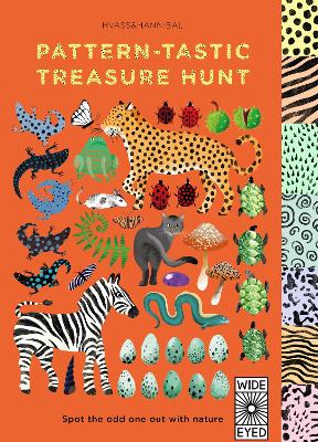 Pattern-tastic Treasure hunt: Learn your colours with nature book