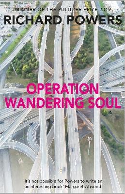 Operation Wandering Soul by Richard Powers