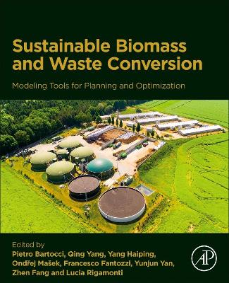 Modeling Tools for Planning Sustainable Biomass and Waste Conversion into Energy and Chemicals: Optimization of Technical, Economic, Environmental and Social Key Aspects book
