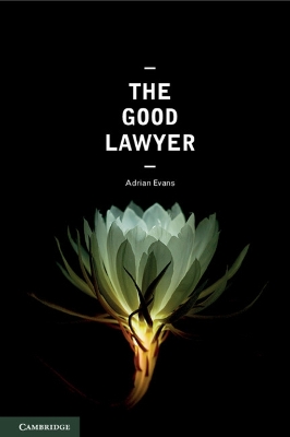 Good Lawyer book