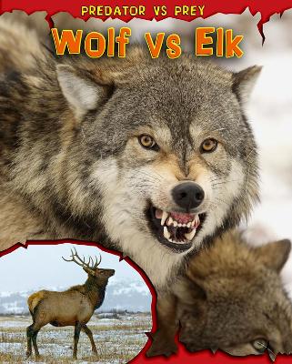 Wolf vs Elk by Mary Meinking