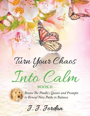 Turn Your Chaos Into Calm by J J Jordan