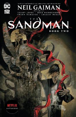 The Sandman Book Two book