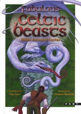 Fabulous Celtic Beasts book