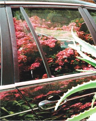 Aaron Stern: Ghost Rider: Los Angeles Photographs book