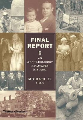 Final Report: An Archaeologist Excava book