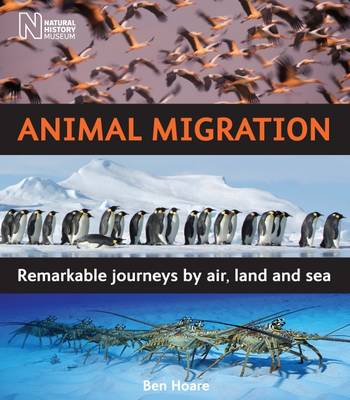 Animal Migration by Ben Hoare