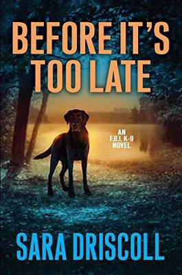 Before It's Too Late book