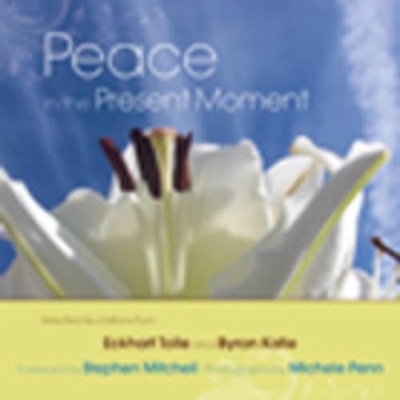 Peace in the Present Moment book