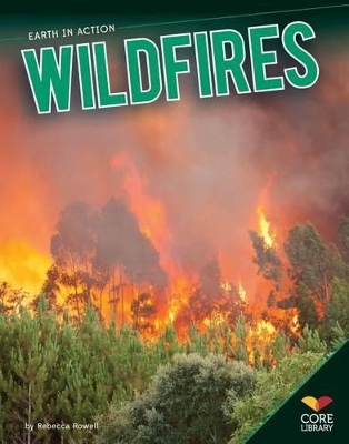 Wildfires by Rebecca Rowell