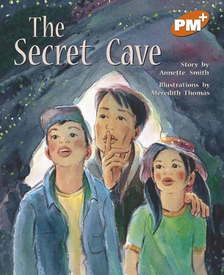 The Secret Cave book