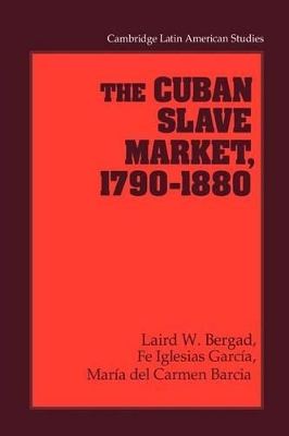 The Cuban Slave Market, 1790-1880 by Laird W. Bergad