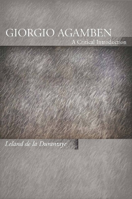 Giorgio Agamben book