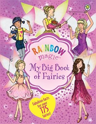 Rainbow Magic: My Big Book of Fairies book