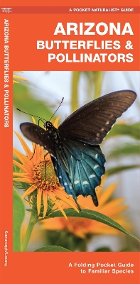 Arizona Butterflies & Pollinators: A Folding Pocket Guide to Familiar Species by James Kavanagh