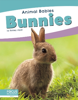 Bunnies book