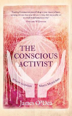 Conscious Activist book