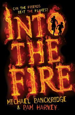 Into the Fire by Michael Panckridge