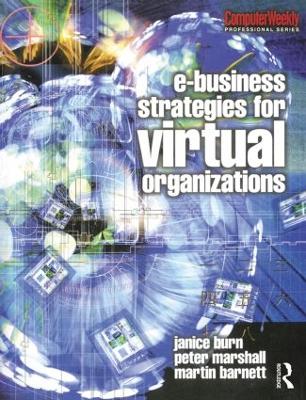 e-Business Strategies for Virtual Organizations book