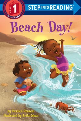 Beach Day! book
