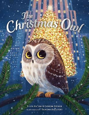The Christmas Owl book
