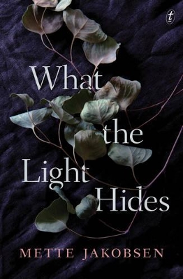What the Light Hides book