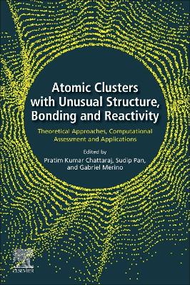 Atomic Clusters with Unusual Structure, Bonding and Reactivity: Theoretical Approaches, Computational Assessment and Applications book