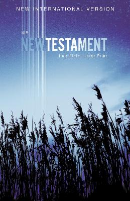 NIV, Outreach New Testament, Large Print, Paperback by Zondervan