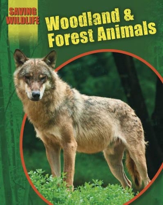 Saving Wildlife: Woodland and Forest Animals by Sonya Newland