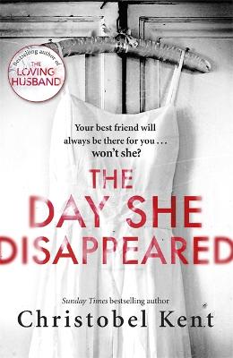Day She Disappeared book